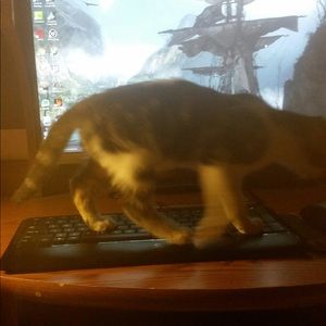 Meet your Posher, Jenna